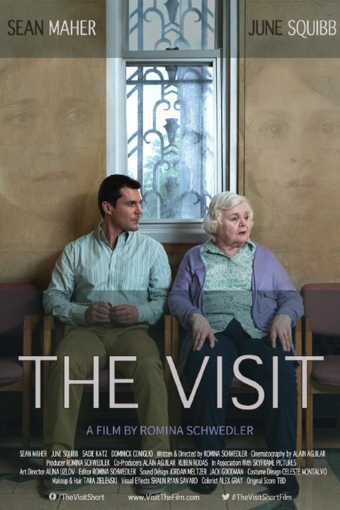 Постер фильма The Visit (2016)