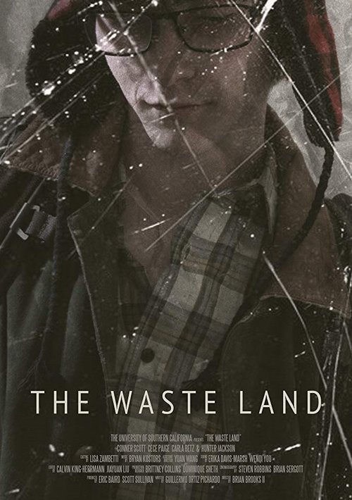 Постер фильма The Waste Land (2016)