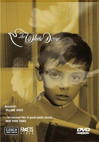 Постер фильма The White Dove (1920)