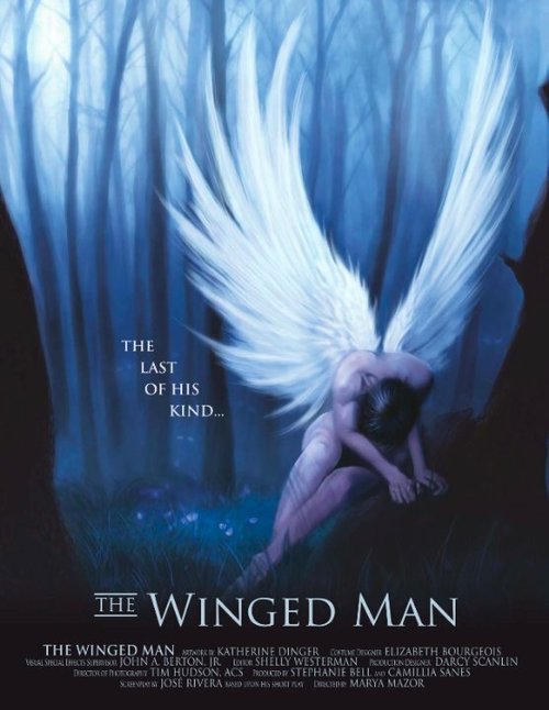 Постер фильма The Winged Man (2008)