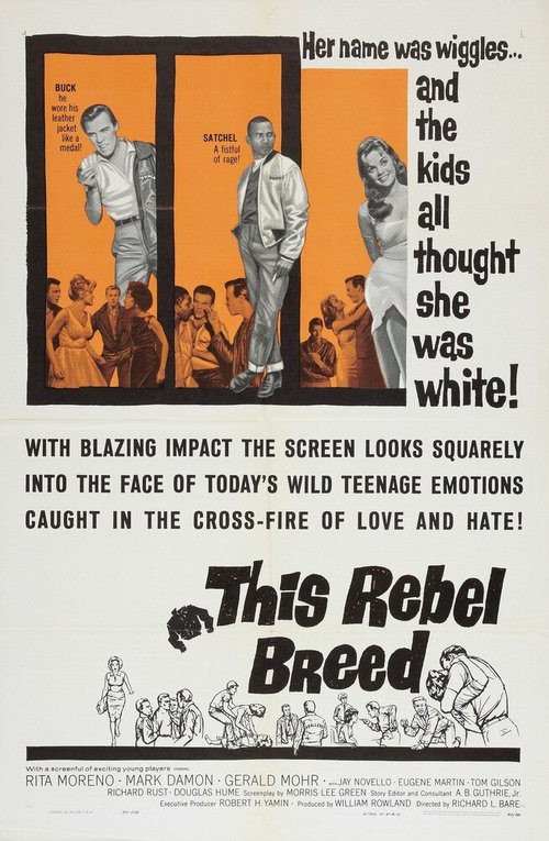 Постер фильма This Rebel Breed (1960)