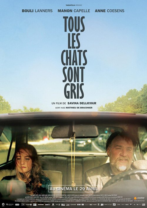 Постер фильма Tous les chats sont gris (2014)