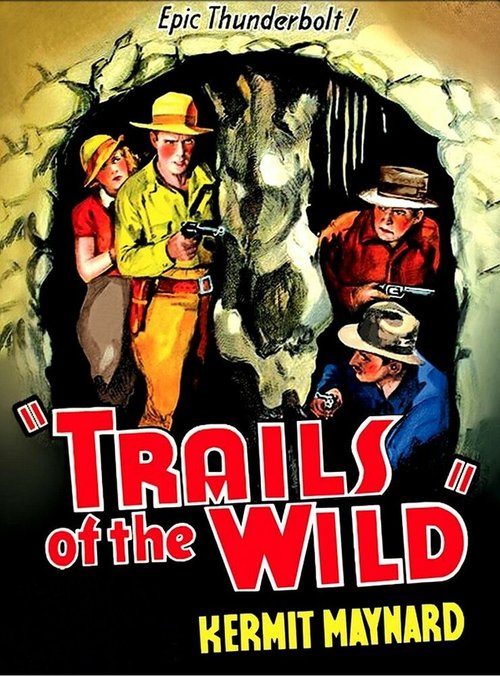 Постер фильма Trails of the Wild (1935)