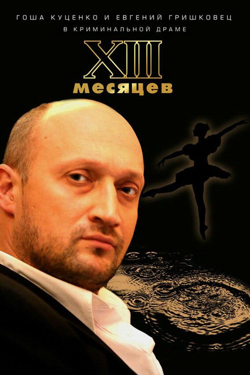 Постер фильма Тринадцать месяцев (2008)