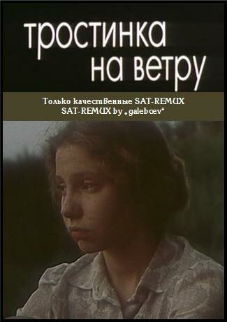 Постер фильма Тростинка на ветру (1980)