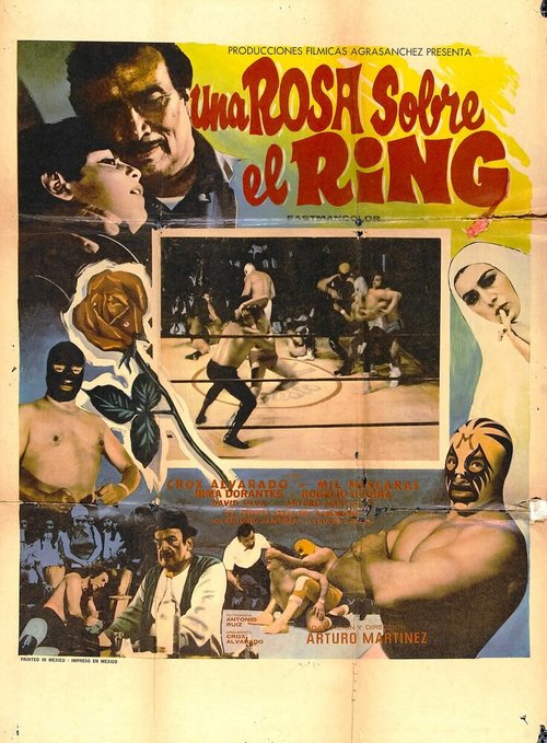 Постер фильма Una rosa sobre el ring (1973)