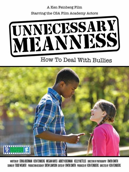 Постер фильма Unnecessary Meanness (2013)