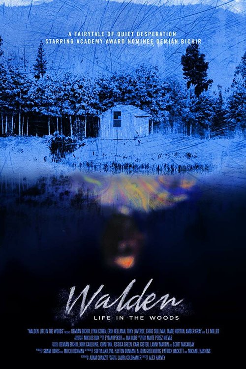 Постер фильма Walden: Life in The Woods (2017)