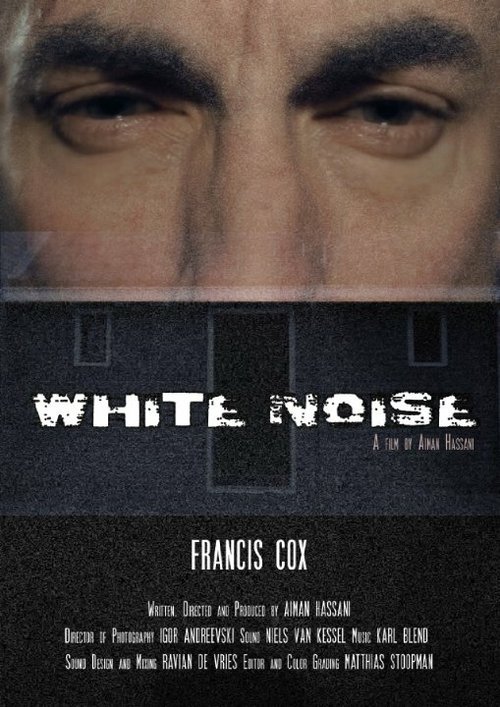 Постер фильма White Noise (2015)