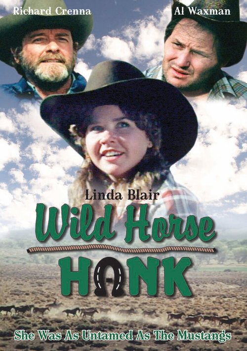 Постер фильма Wild Horse Hank (1979)