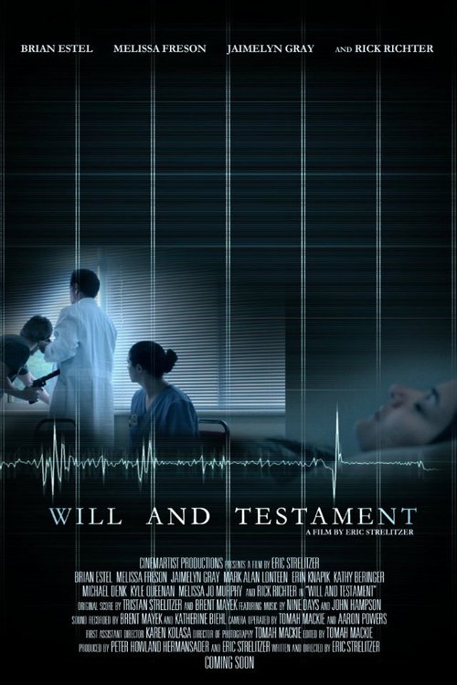 Постер фильма Will and Testament (2012)