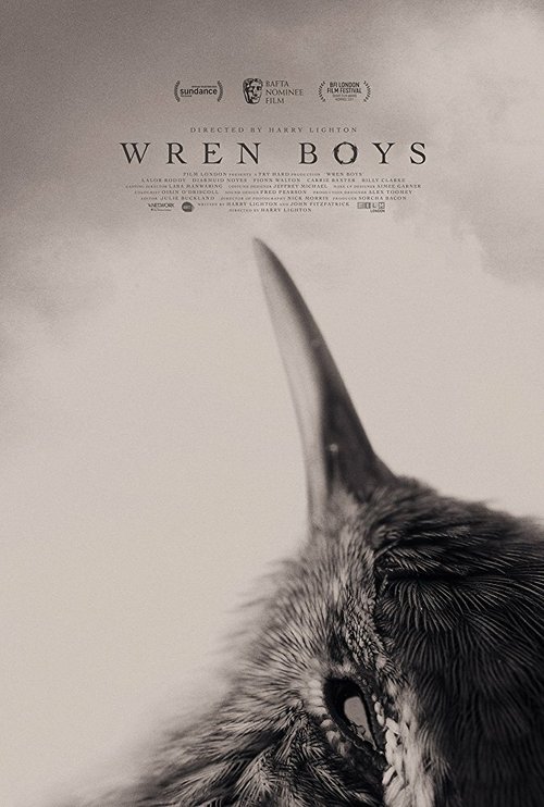 Постер фильма Wren Boys (2017)