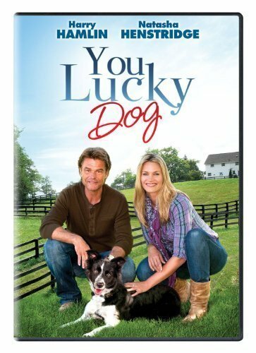 Постер фильма You Lucky Dog (2010)