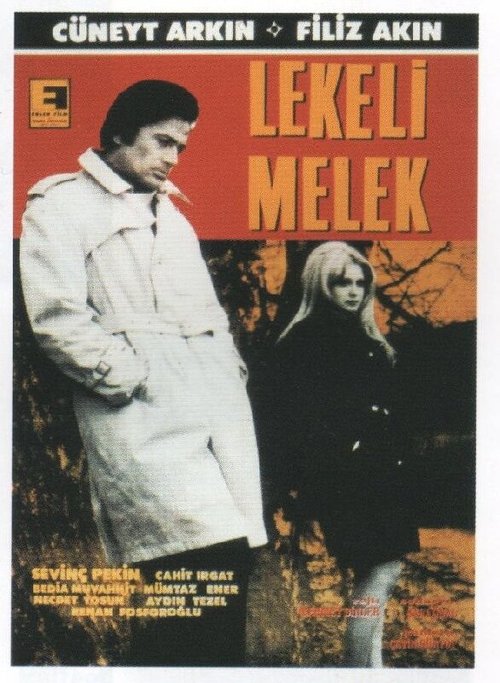 Девочки госпожи (1969)