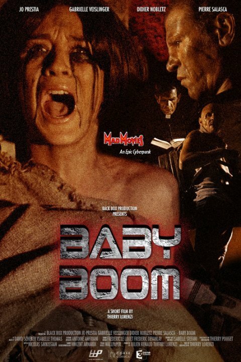 Постер фильма Baby Boom (2009)