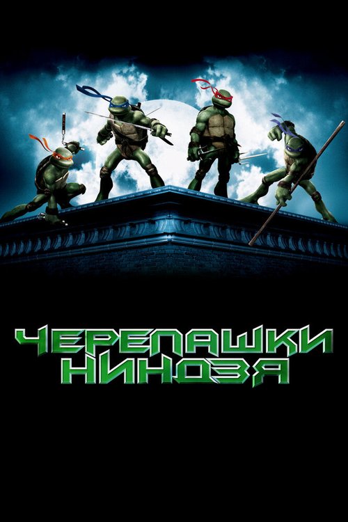 Постер фильма Черепашки-ниндзя (2007)