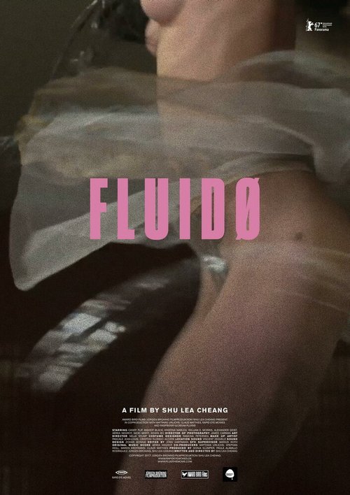 Постер фильма Fluidø (2017)