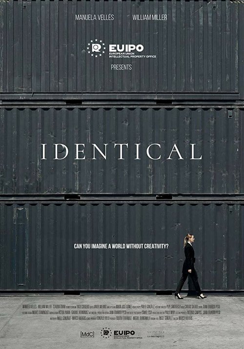 Постер фильма IPdentical (2018)