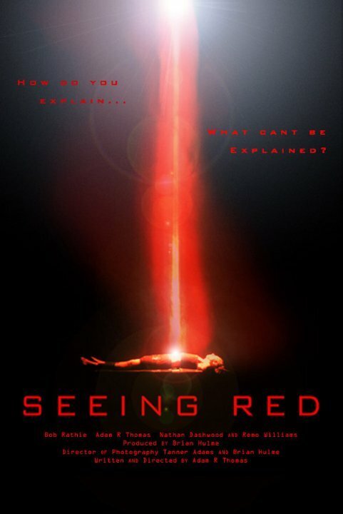 Seeing Red скачать торрент