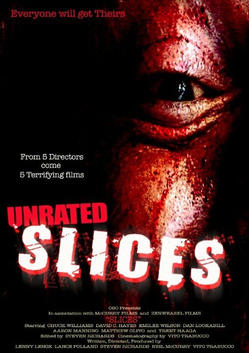 Постер фильма Slices (2008)