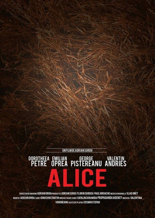 Постер фильма Alice (2017)