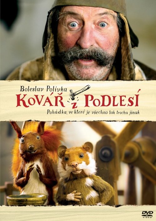 Постер фильма Kovár z Podlesí (2013)