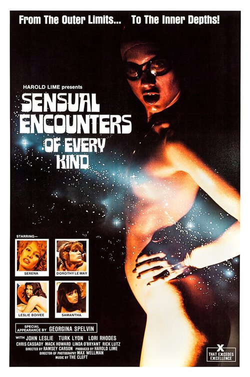 Постер фильма Sensual Encounters of Every Kind (1978)