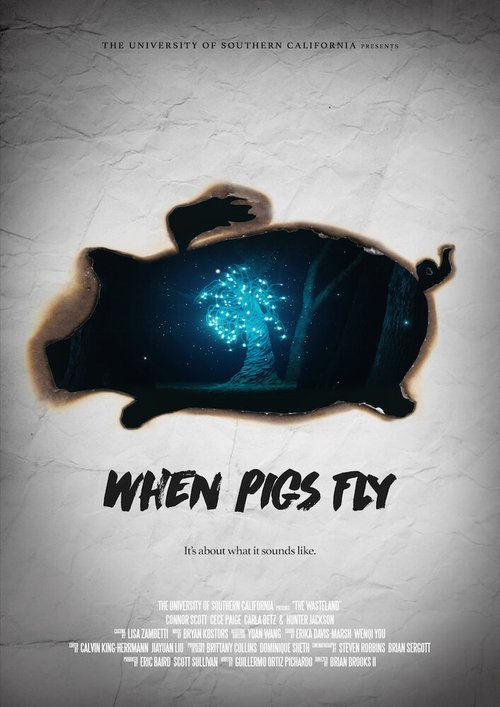 Постер фильма When Pigs Fly (2017)