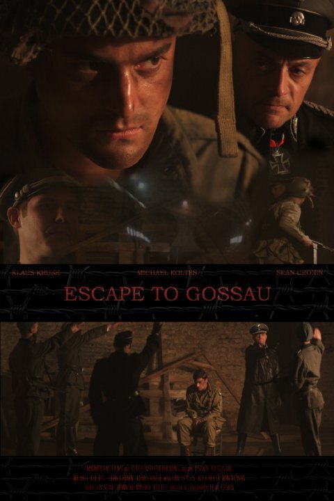 Постер фильма Escape to Gossau (2013)