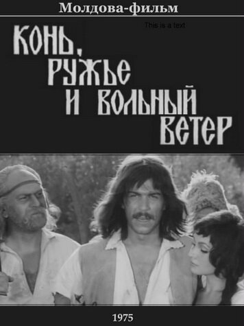 Постер фильма Конь, ружьё и вольный ветер (1975)