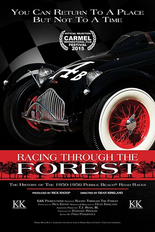 Постер фильма Racing Through the Forest (2016)