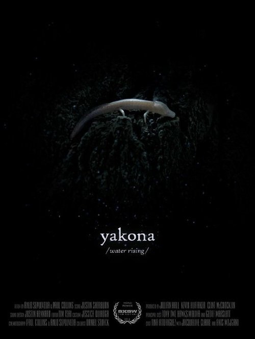 Постер фильма Yakona (2014)