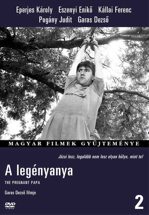 Постер фильма A legényanya (1989)