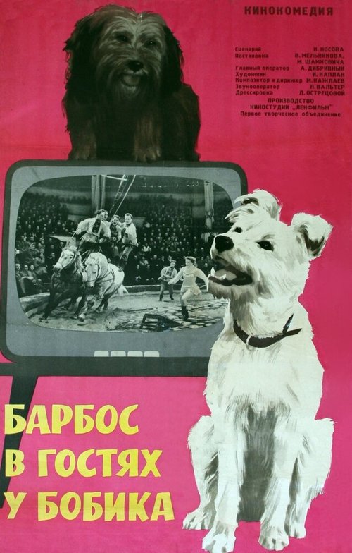 Очаровательная идиотка (1964)