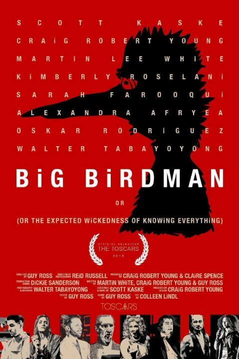 Постер фильма Big Birdman (2015)