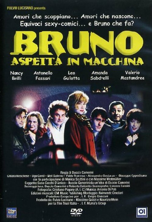 Постер фильма Bruno aspetta in macchina (1996)