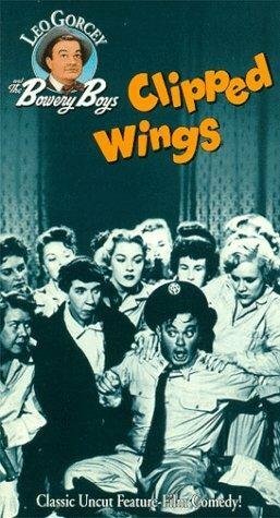 Три мои веселые вдовы (1953)