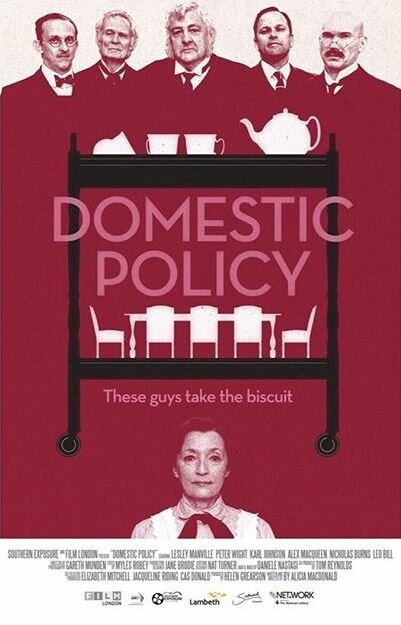 Постер фильма Domestic Policy (2016)