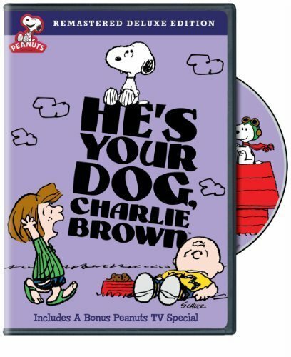 Постер фильма Life Is a Circus, Charlie Brown (1980)