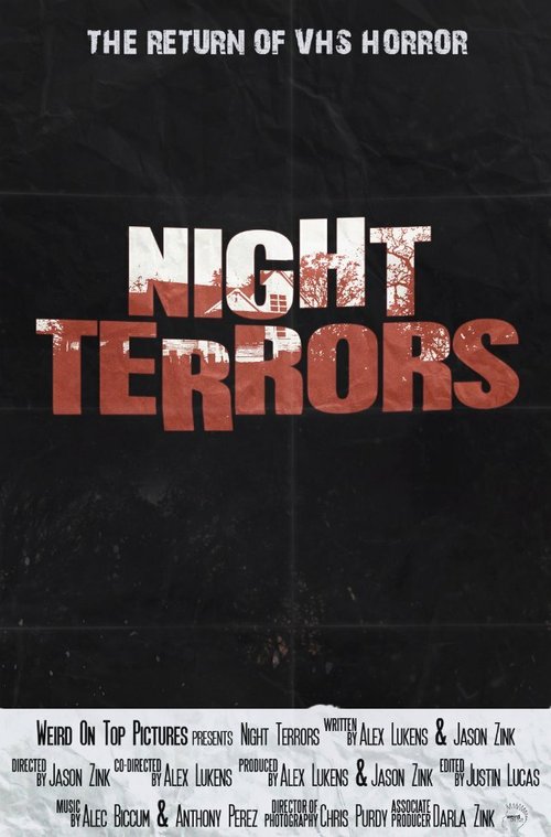 Постер фильма Night Terrors (2013)