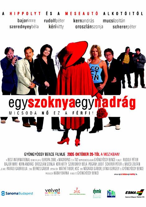 Постер фильма Одна юбка, одни брюки (2005)