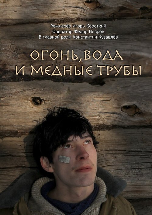 Берлинский тигр (2012)