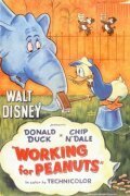 Operation Sawdust (1953)