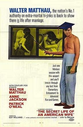 Постер фильма Тайная жизнь американской жены (1968)