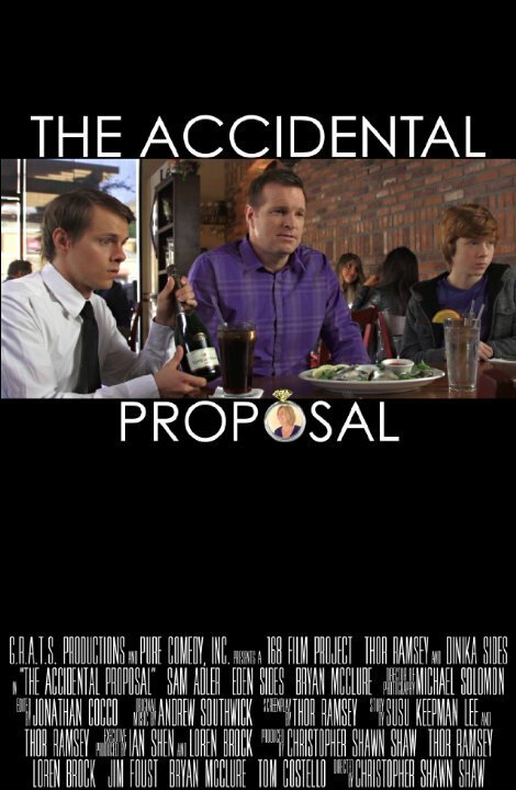 Постер фильма The Accidental Proposal (2013)