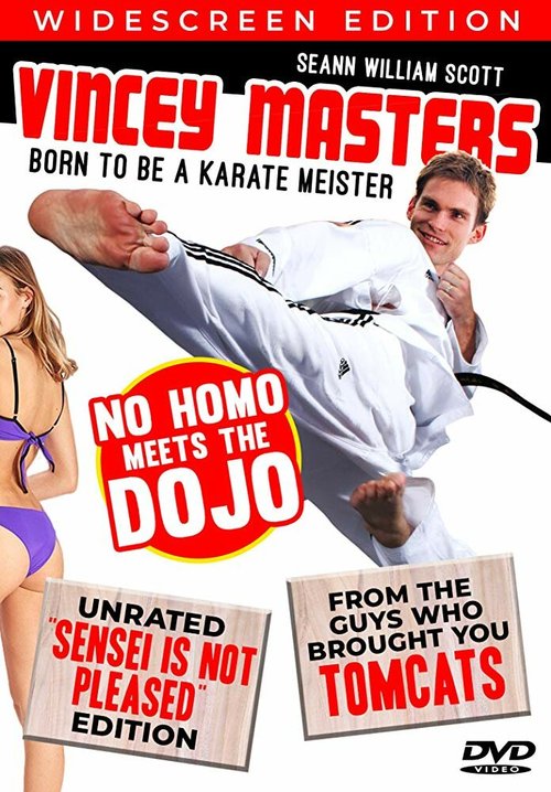 Постер фильма Vincey Masters: Born to be a Karate Meister (2007)