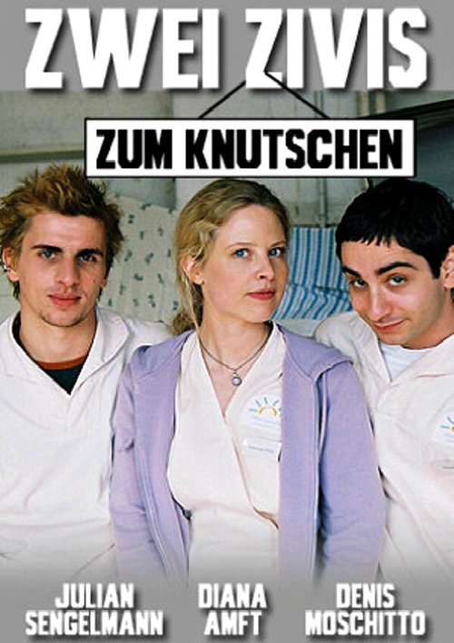 Постер фильма Zwei Zivis zum Knutschen (2008)