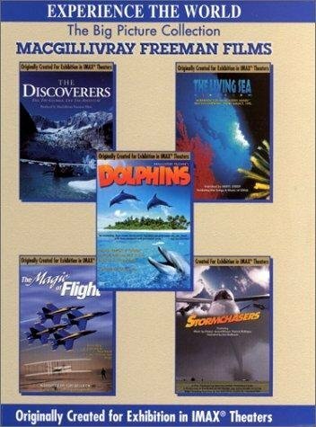 Постер фильма Dolphins: The Ride (1997)