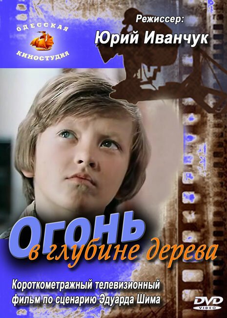 Постер фильма Огонь в глубине дерева (1978)