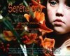 Постер фильма Serendipity (1992)